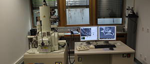 Picture and Link: Electron Microscopes