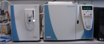 Trace DSQ TM Gas Chromatography - Quadrupole MS (GC-MS) 
