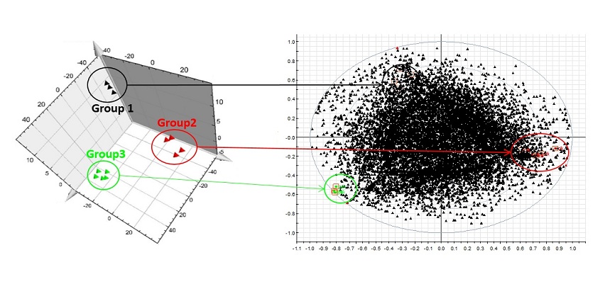 Figur zu Metabolit Profiling