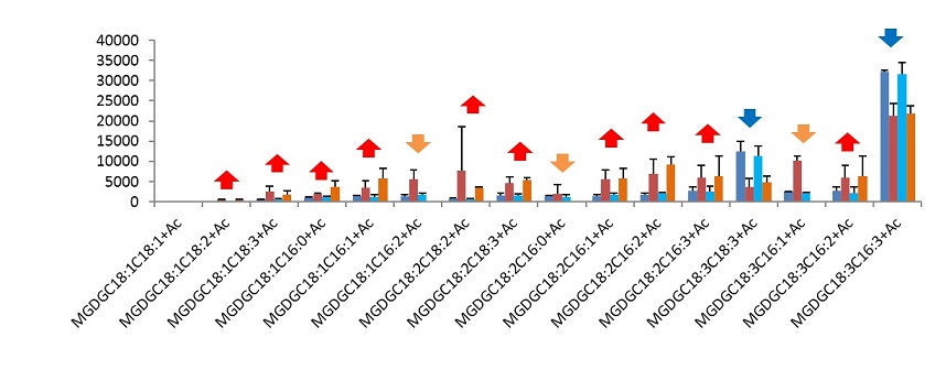 Figur zu Metabolite profiling