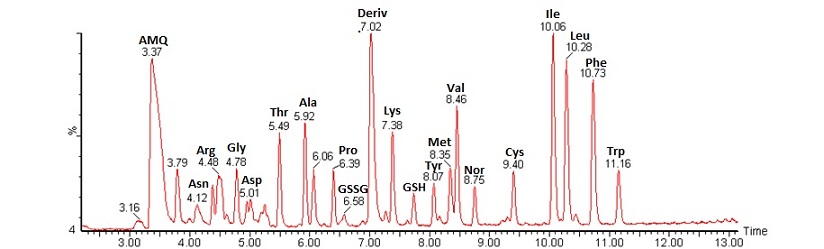 Figur zu Metabolit Profiling