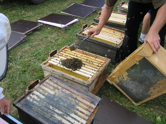 Pic:Beekeeping_2_Starting an experiment_open hives