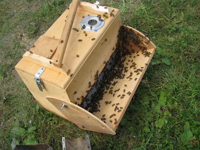 [Translate to Englisch:] Pic:Beekeeping_3_store-room for bees