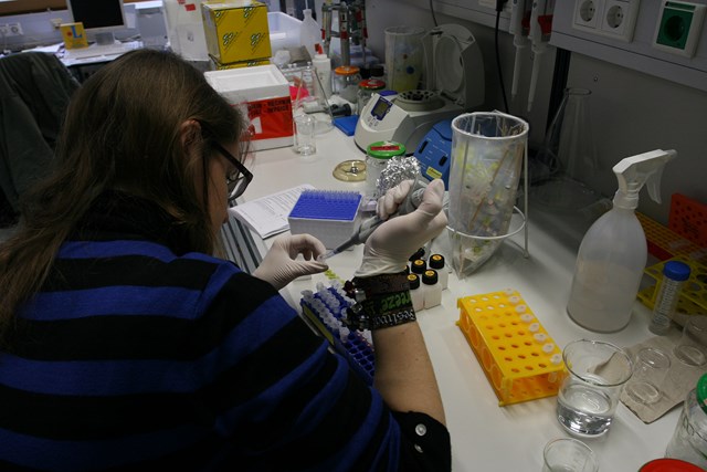 Pic:DNALab_4_Preparing Samples2