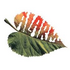 Pic:LogoAlarm