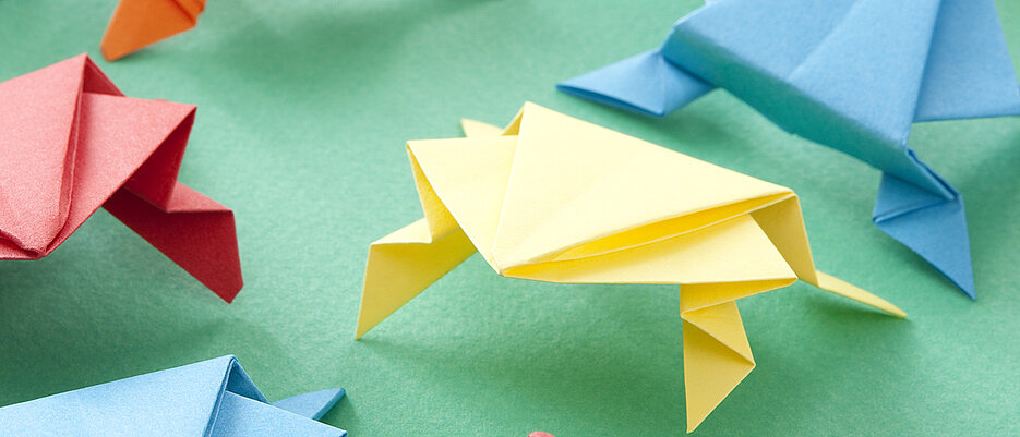 Wer baut den Origamifrosch, der am weitesten springt? Unter anderem um diese Frage ging es bei der Virtual Science Fairfür Würzburger Schülerinnen und Schüler.