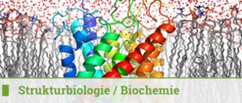 Strukturbiologie