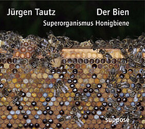 Cover der Bien-CD