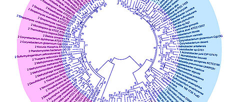 Protein sequence analysis