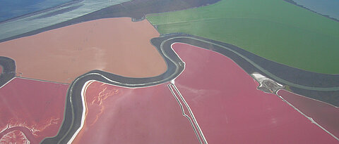 Salinen in der Bucht von San Francisco: Halobacterium salinarum, die Mikrobe des Jahres 2017, färbt dort das Wasser rötlich. Von <a href="//commons.wikimedia.org/w/index.php?title=User:Grombo&amp;action=edit&amp;redlink=1" class="new" title="User:Grombo