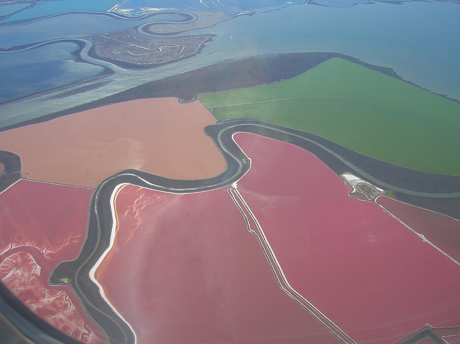 Salinen in der Bucht von San Francisco: Halobacterium salinarum, die Mikrobe des Jahres 2017, färbt dort das Wasser rötlich. Von <a href="//commons.wikimedia.org/w/index.php?title=User:Grombo&amp;action=edit&amp;redlink=1" class="new" title="User:Grombo