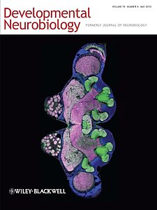 Cover of the journal "Developmental Neurobiology" (2010) Volume 70 Issue 6