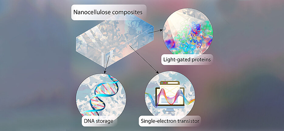 Auf Chips aus halbleitender Nanocellulose lassen sich Informationen in Form von DNA speichern. Lichtgesteuerte Proteine lesen die Informationen ab.