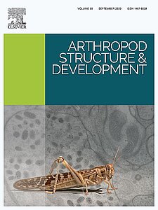 Cover of the journal "Arthropod Structure and Development" (2020) Volume58