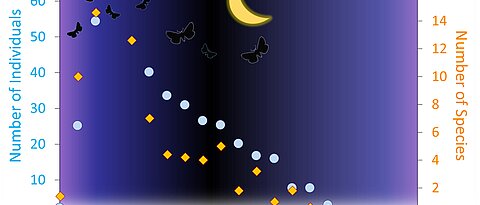 Eine Grafik von der Studie