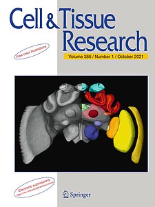 Cover of the journal "Cell & Tissue Research (2021) Volume 386 Issue 1"