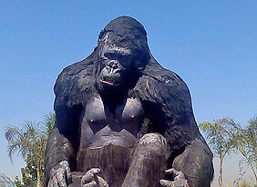 Affen sind häufige Hauptdarsteller in Film und Literatur, ob nun in „King Kong“ oder in Franz Kafkas „Bericht an eine Akademie“. Der kulturelle Umgang mit Tieren steht im Mittelpunkt der Würzburger Summer School „Cultural and Literary Animal Studies“. Foto: Alientraveller / Wikimedia Commons