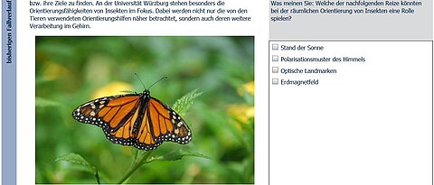 Online-Selbsttest für Biologie