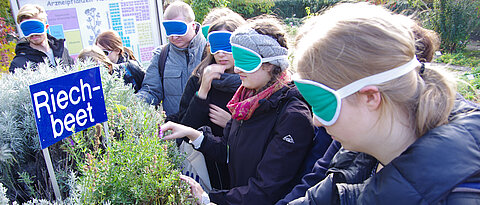 Studierende erkunden "blind" ein Riechbeet im Botanischen Garten