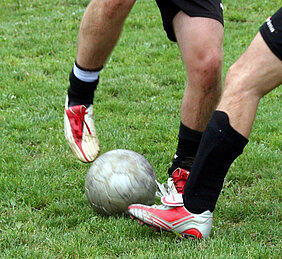 Im Sportrasen lauern - eher keine Zecken. Auch wenn dieser Rasen vermutlich nicht ganz so gepflegt ist wie der in den österreichischen EM-Stadien. Foto: bhp / Pixelio.de