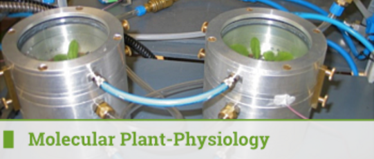 Molecular Plant-Physiology