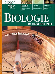 Titelbild des Journals "Biologie in unserer Zeit (2020) Volume 50 Issue 2"
