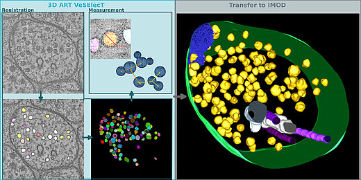 3dart Veselect Lehrstuhl Für Bioinformatik