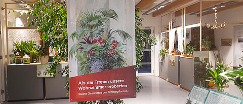 Konzipiert wurde die Ausstellung vom Botanischen Garten in München. 