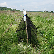 A so-called malaise trap on a flowering area set up within the scope of an agricultural environmental programme. The LandKlif research alliance will use such traps to measure the insect diversity at 240 sites in Bavaria. (Photo: Ingolf Steffan-Dewenter)