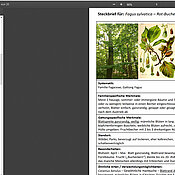 Eigens angefertigte Steckbriefe zu einzelnen Pflanzen und Hinweise zu verschiedenen Exkursionen sollen die Studierenden animieren, sich in der Natur mit der Bestimmung von Pflanzen zu beschäftigen.