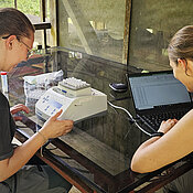Kim Lea Holzmann and Antonia Abels measured the thermal tolerance of insects during fieldwork in Peru.