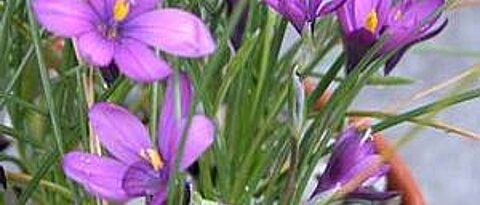 Botanischer Garten