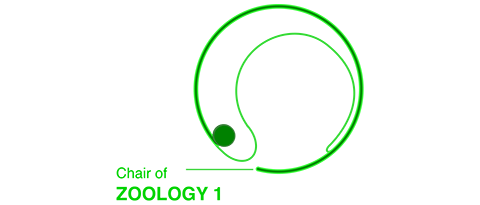 Cell and Developmental Biology logo: Cell and Developmental Biology