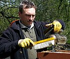 Portrait of beekeeper Dirk Ahrens with beekeeping tools