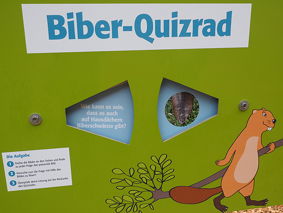 Auch ein Quiz gehört zum Biberlehrpfad, den Studierende der Uni Würzburg entwickelt haben. (Foto: Stadt Bad Kissingen © Mario Selzer)