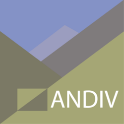 logo_andiv