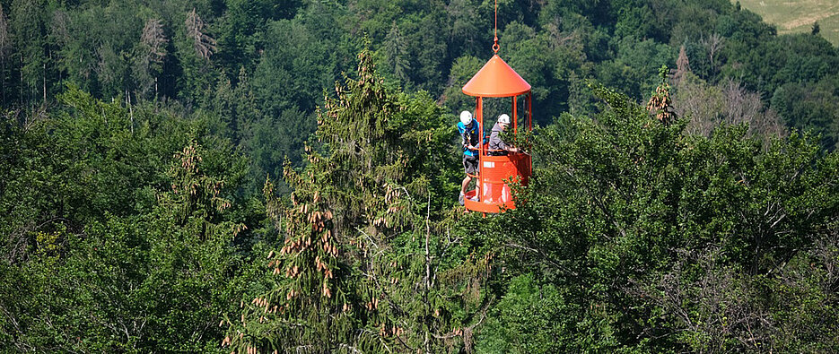 A crane takes the researchers to the uppermost treetops to study the seasonal fluctuations of the water balance.