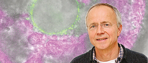 Professor Georg Nagel in front of the image of an alga in which a novel photo sensor was labelled with green fluorescent dye. 