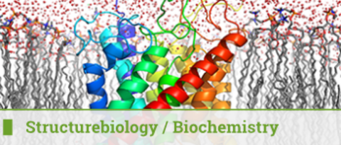 Structure Biology