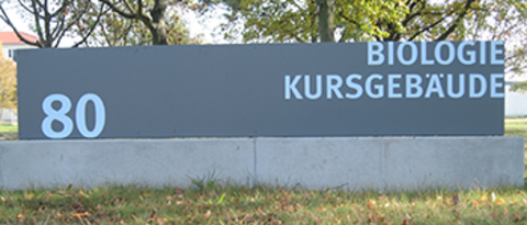 [Translate to Englisch:] Bild: Biologiekursgebäude Campus Nord