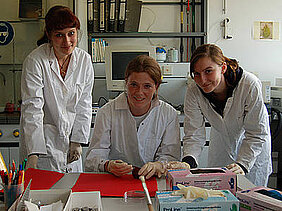 Bevor die Wachsschicht analysiert werden kann, muss sie von der Oberfläche der Pflaume abgelöst werden. Die beiden Lehramtsstudentinnen Caroline Schöner (links) und Linda Markert (rechts) zeigen Michaela Pickel (Mitte) vom Schönborn-Gymnasium in Münnerstadt, wie’s mit dem Klebstoff Gummi arabicum geht. Foto: Margarete Pauli