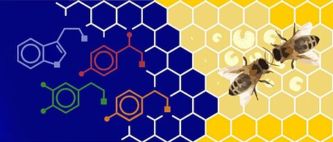 Schematized honeybees and structural formula of organic chemicals 