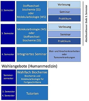 Kursübersicht für Studierende der Humanmedizin.