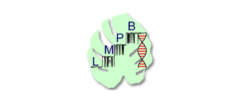 Logo und Link: Lehrstuhl für Molekulare Pflanzenphysiologie und Biophysik - Botanik I