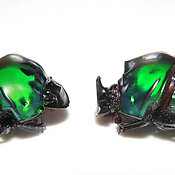 Vorwiegend in Südamerika zuhause: Der Dungkäfer Oxysternon conspicillatum aus der Familie der Blatthornkäfer ist eine der erhobenen Arten. 