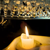 Samples of all the insects that were studied were prepared in the field for DNA barcoding. This method uses genetic information to identify animals at the species level.