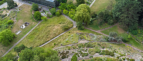 Die Drohnenaufnahme zeigt einen Teil des Botanischen Gartens und seiner Gewächshäuser von oben.