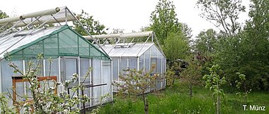 Two big green houses which can be used as flight arenas for winter months