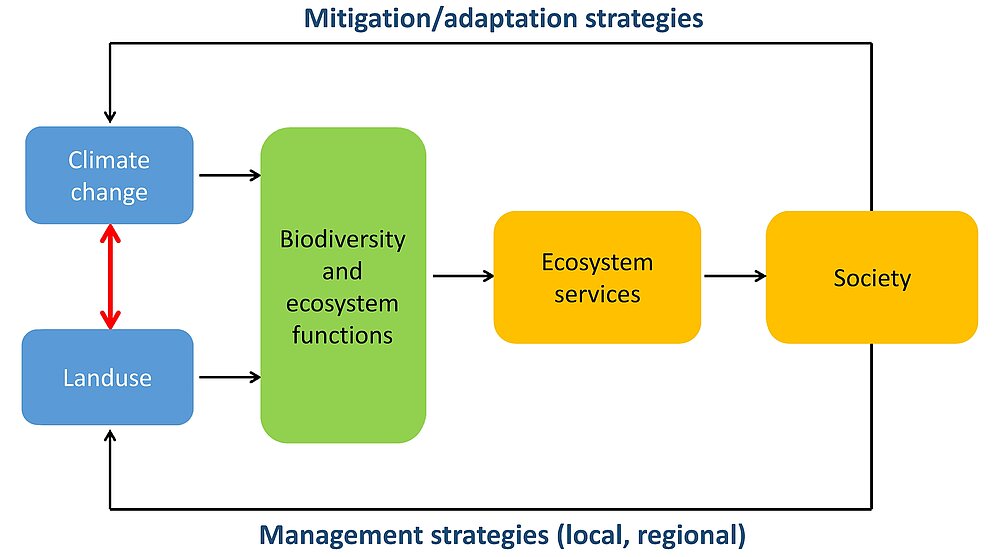 pic:LandKlif Zoo3  Fig 2_en_Sarah_Redlich