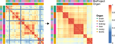 Heatmaps showing semi-automatic curation of heterogeneous transcriptomes